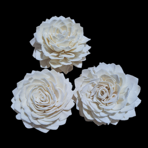 Sola Dahlia Dry Flowers