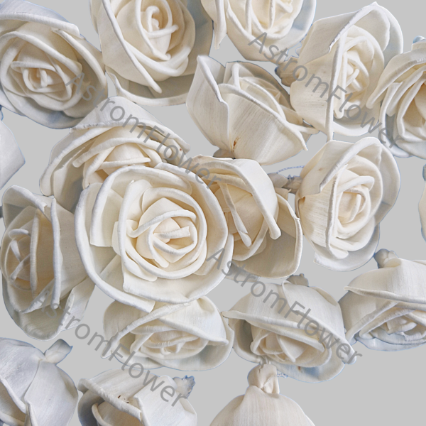 co friendly sola wood rose for bouquet and floral arrangement