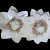 Sola Wood Daffodil Flower