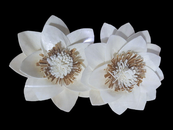 Sola Wood Daffodil Flower