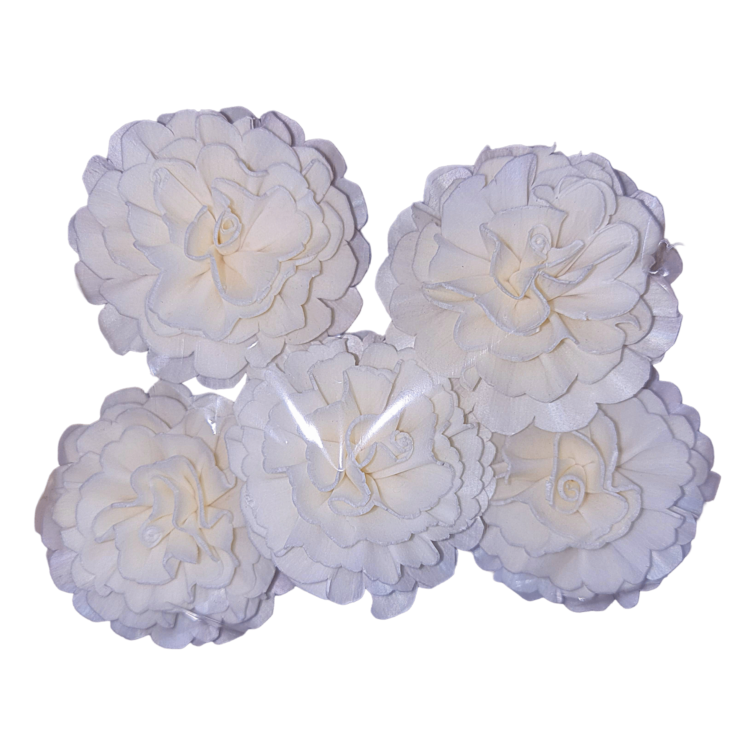 Sola Wood Marigold - Image 2