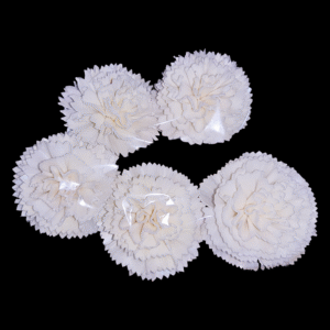 Sola wood Carnation flower