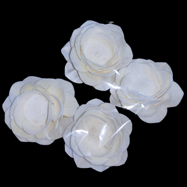 Magnolia Lotus