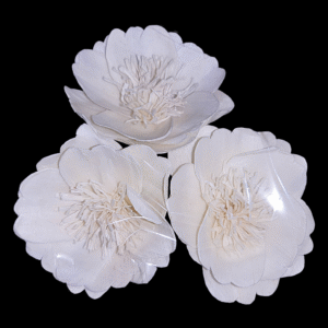 Sola Wood Anemone Flower