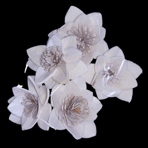 Sola Wood Narcissus Flower