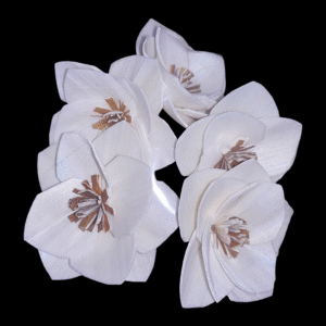 Sola Wood Azalea Flower