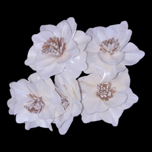 Sola Magnolia Flower