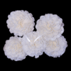 Sola Wood Begonia Flower