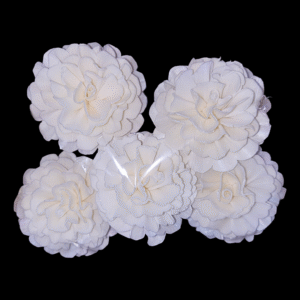 Sola Wood Begonia Flower