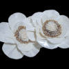 Sola Narcissus Flower