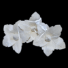 Sola Wood Lilly