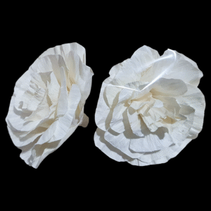 Sola Marigold Flower