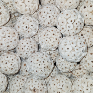 natural sola wood atta ball pet toy