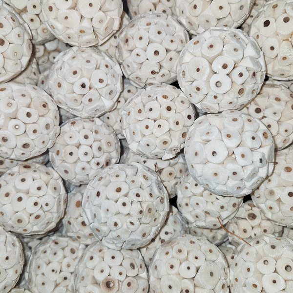 natural sola wood atta ball pet toy