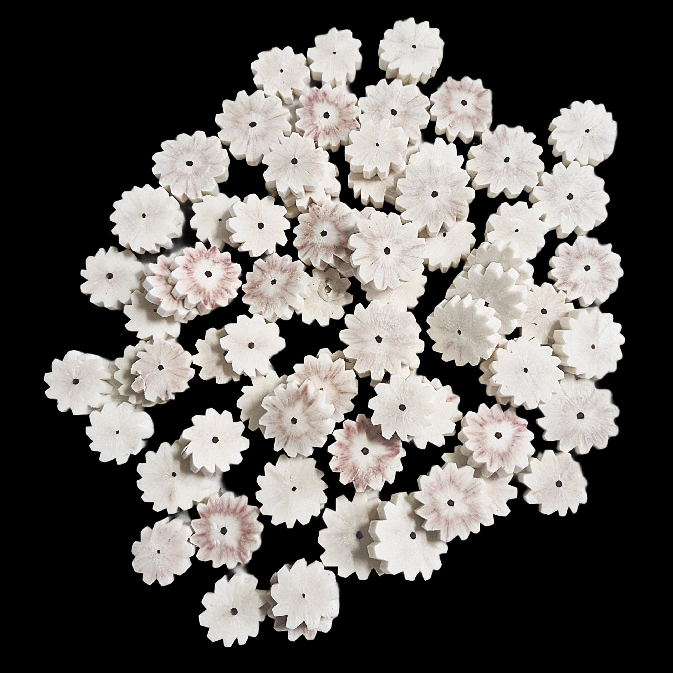 Sola Kakor natural sola wood pet toy