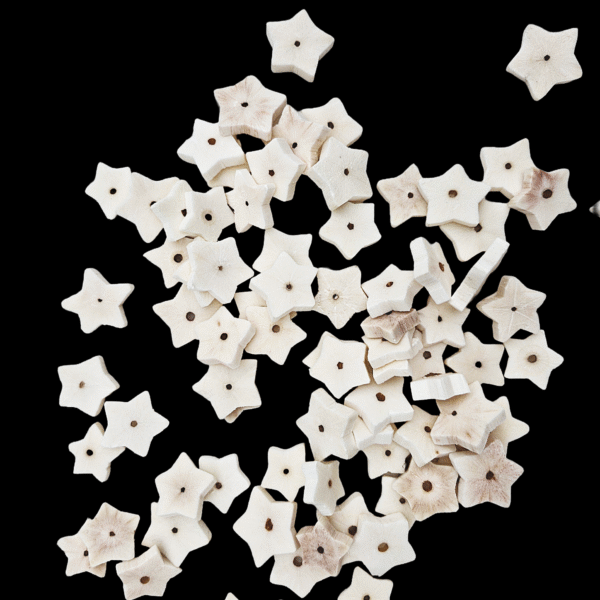 Sola Wood Star