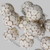 sola wood craft ball