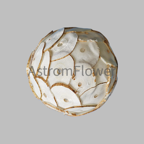 Skin Tip Ball