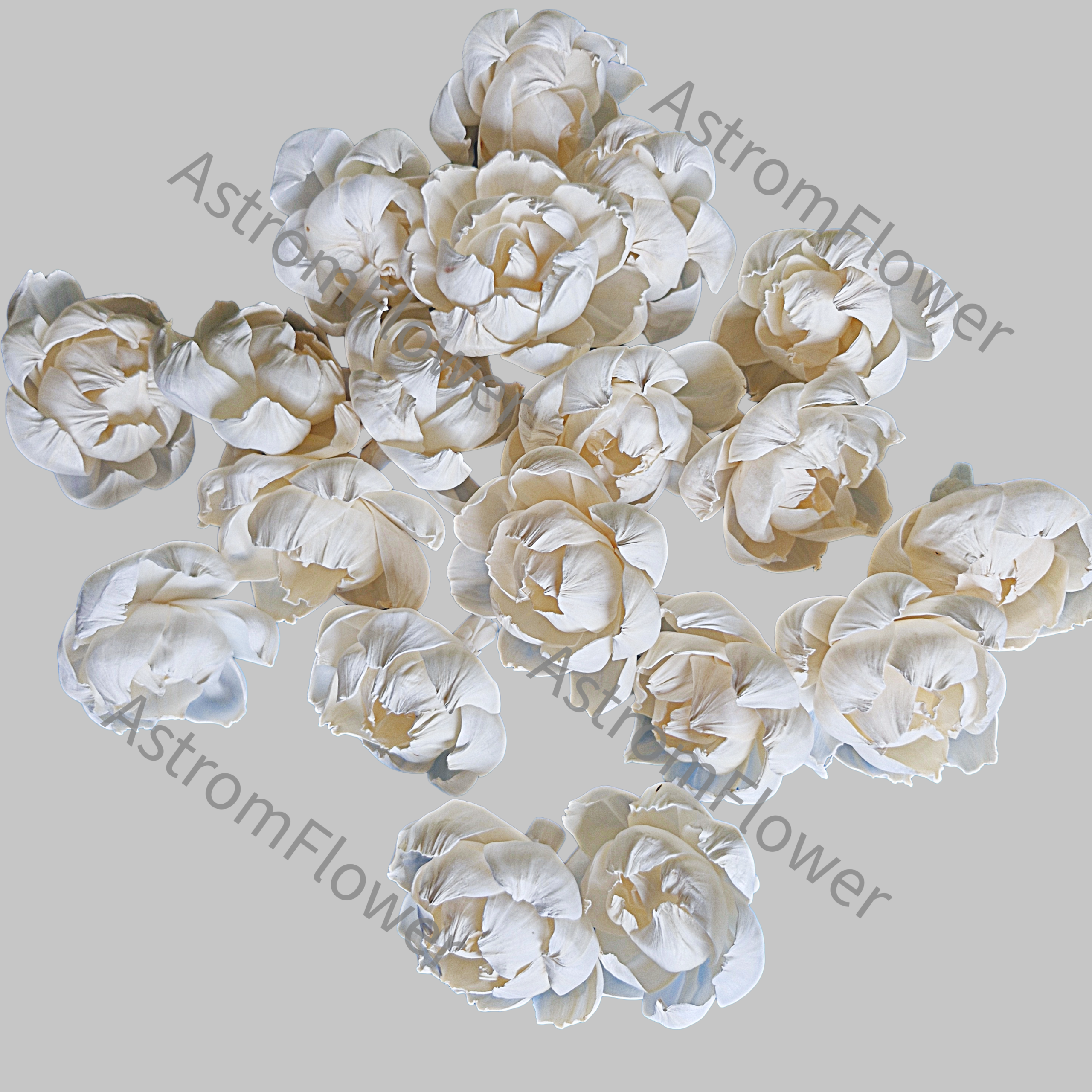 Sola Wood Peony Flower