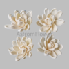 Decorative sola wood craft flower for home décor