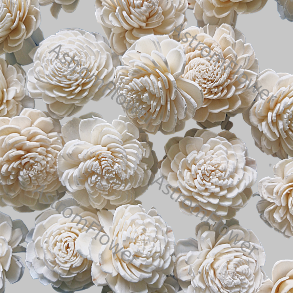 Natural sola wood Beli flower for DIY floral arrangement and bouquet making