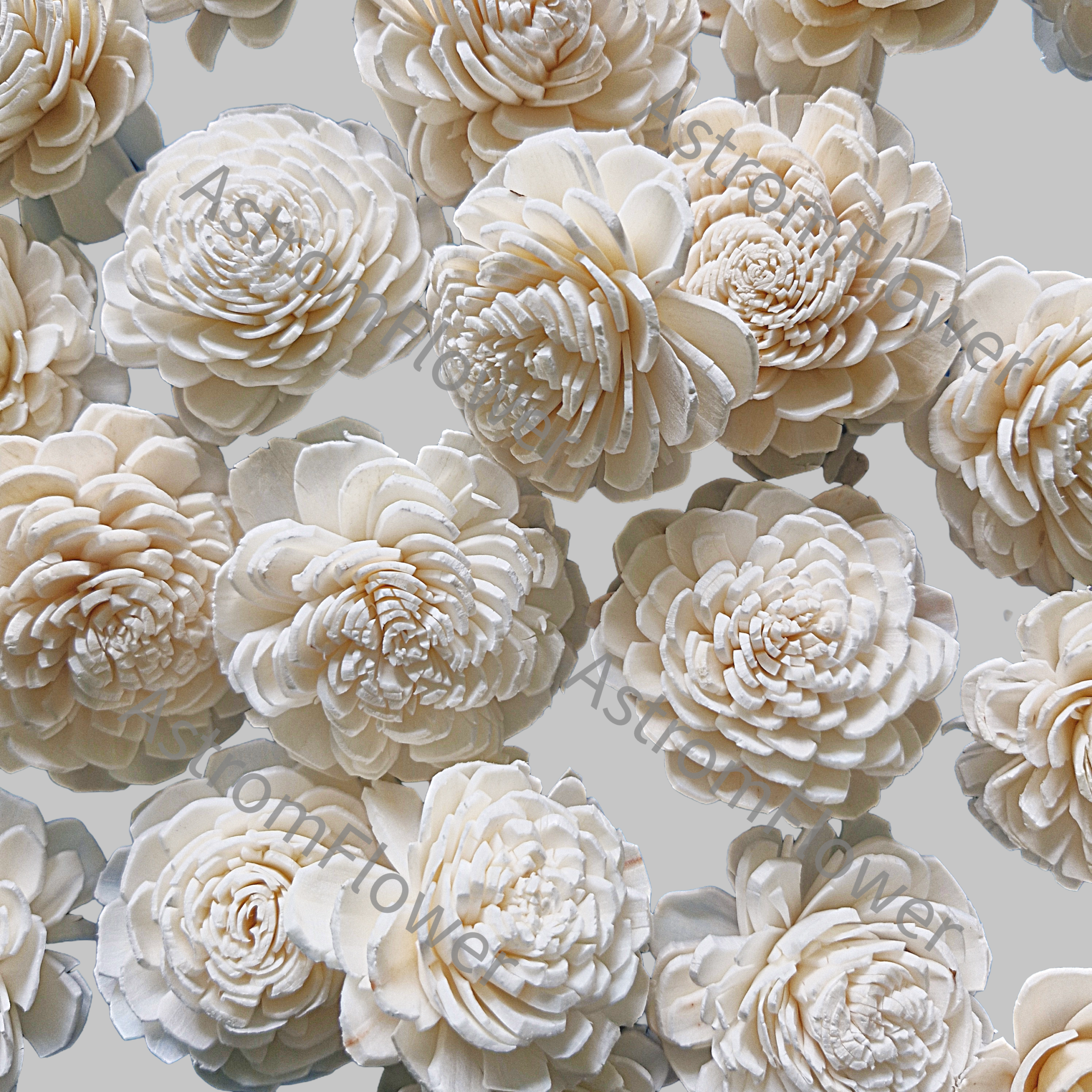 Natural sola wood Beli flower for DIY floral arrangement and bouquet making