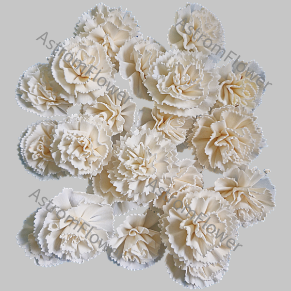 Eco friendly sola wood carnation flower for wedding decoration