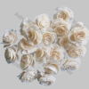 Sola wood cabbage flower
