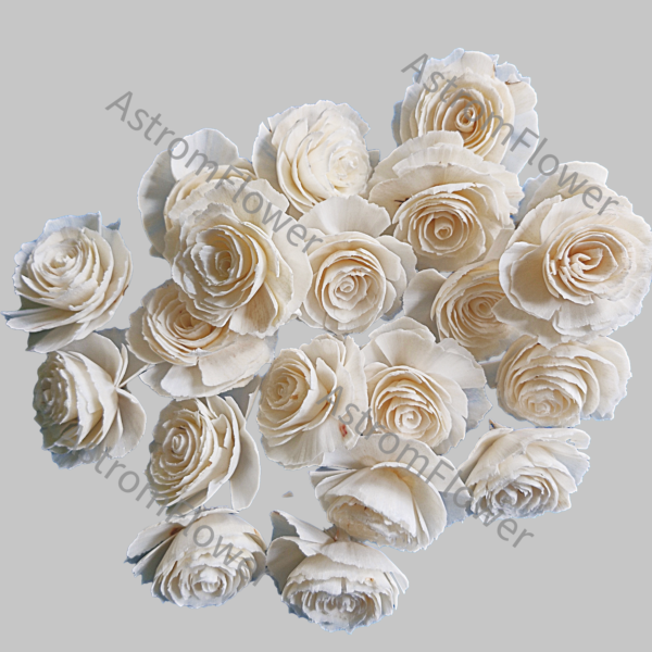Sola wood cabbage flower