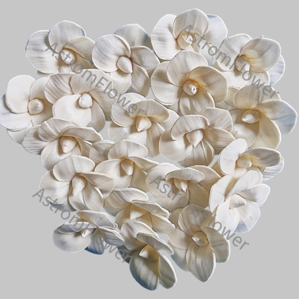 Natural sola wood jawa flower for DIY craft decoration