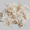 Eco friendly sola wood decorative flower for crafts