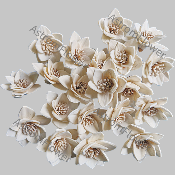 Brown Pingle Sola Wood Flower