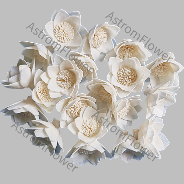 wholesale sola wood flower for floral arrangements