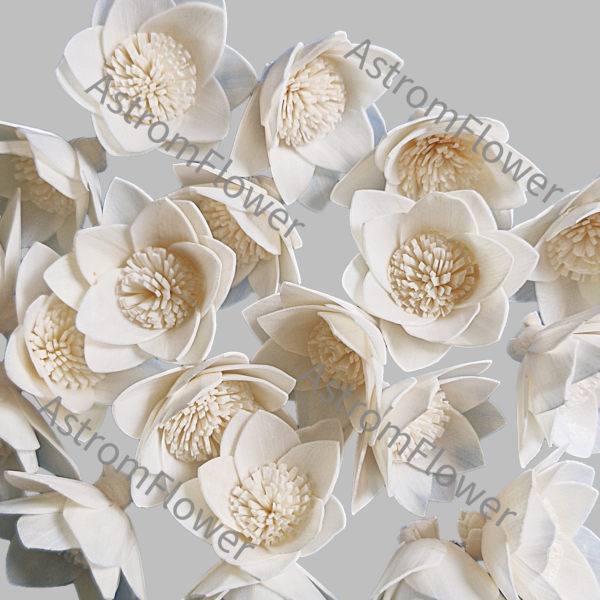 handmade wooden sola flower for DIY craft projects