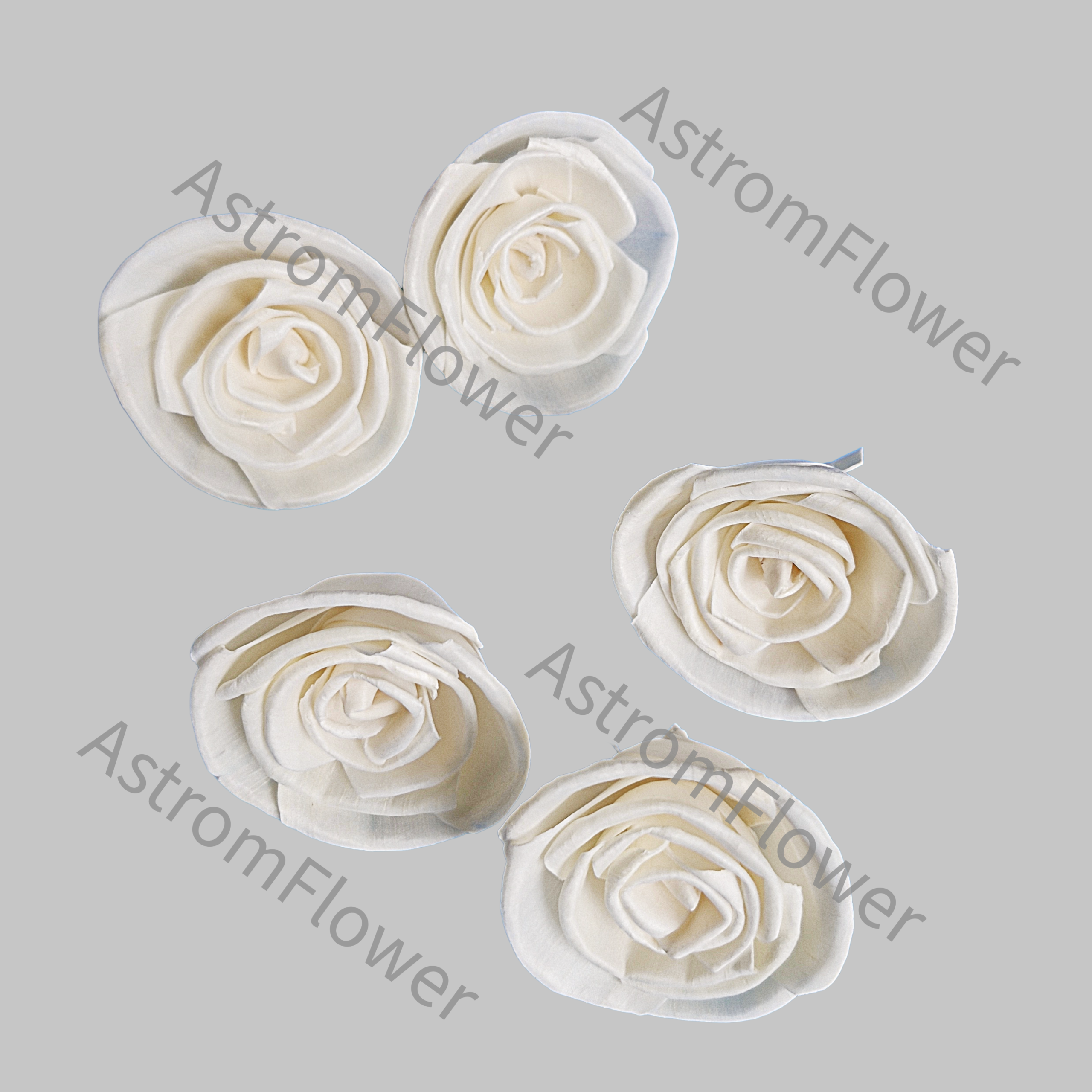 Eco friendly sola wood rose for bouquet and floral arrangement