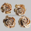wedding sola flower