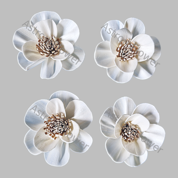 White Maddy Sunny Sola Wood Flower