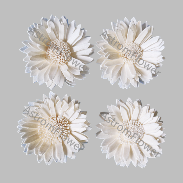 Natural Ivory Sola Wood Flower Handmade Floral Craft Supply