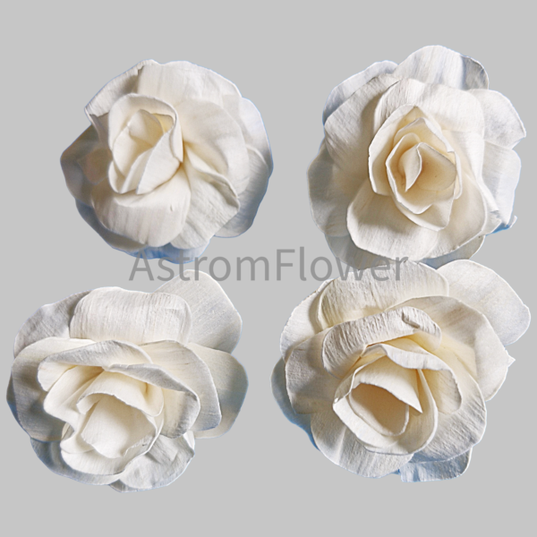 Handcrafted ivory camellia flower made by sola wood