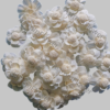 Natural Ivory Sola Wood Protea Flower for DIY Floral Crafts