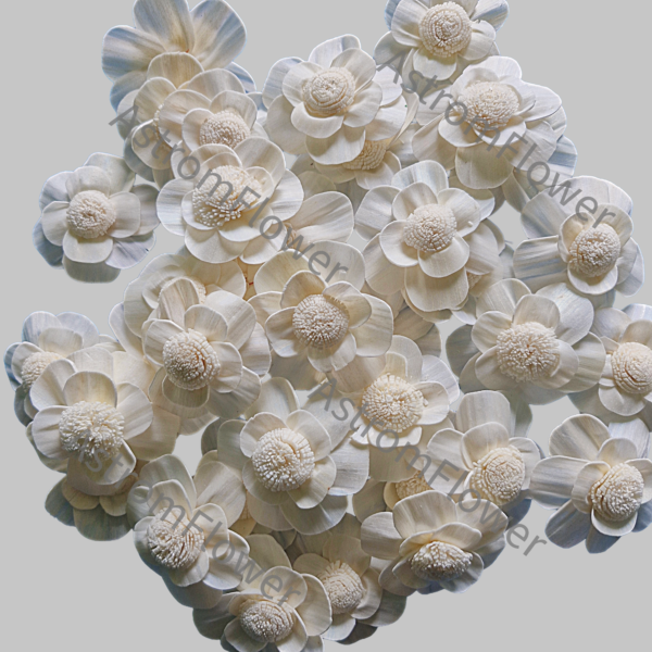 Natural Ivory Sola Wood Protea Flower for DIY Floral Crafts