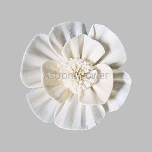 White Maddy Sunny Sola Wood Flower handmade from natural sola wood for wedding decoration, craft projects and bouquet arrangements.