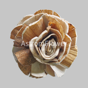 Skin Beauty Rose Sola Wood Flower