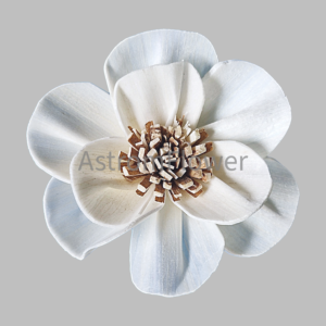 White Maddy Sunny Sola Wood Flower handmade from natural sola wood for wedding decoration, craft projects and bouquet arrangements.