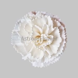 Handmade sola wood carnation flower natural white craft flower