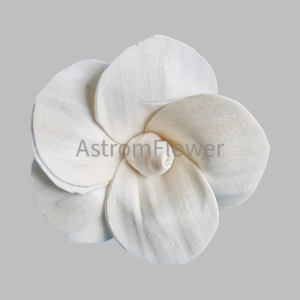 Jawa sola wood flower handmade natural shola flower