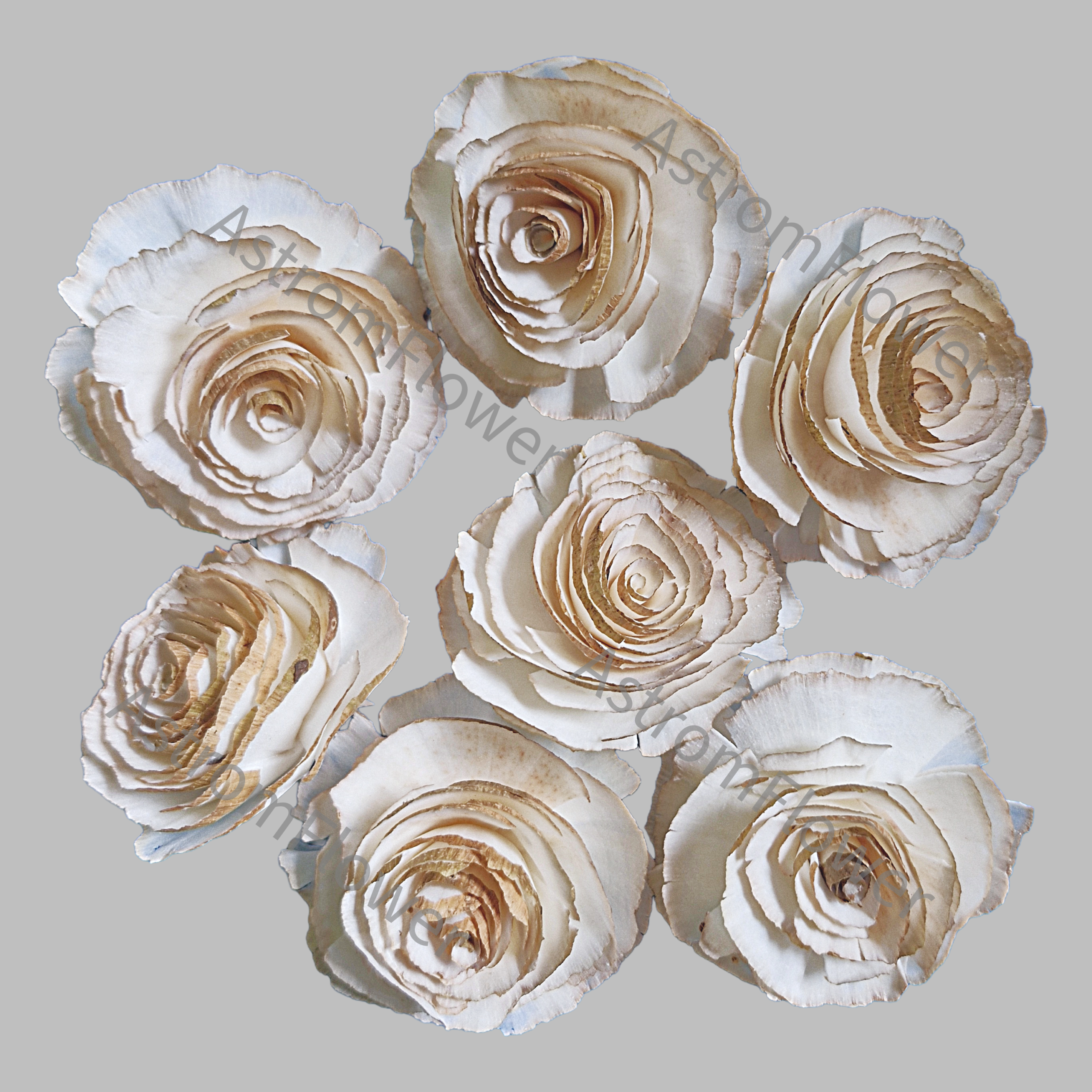 Skin Cabbage Sola Wood Flower - Image 3