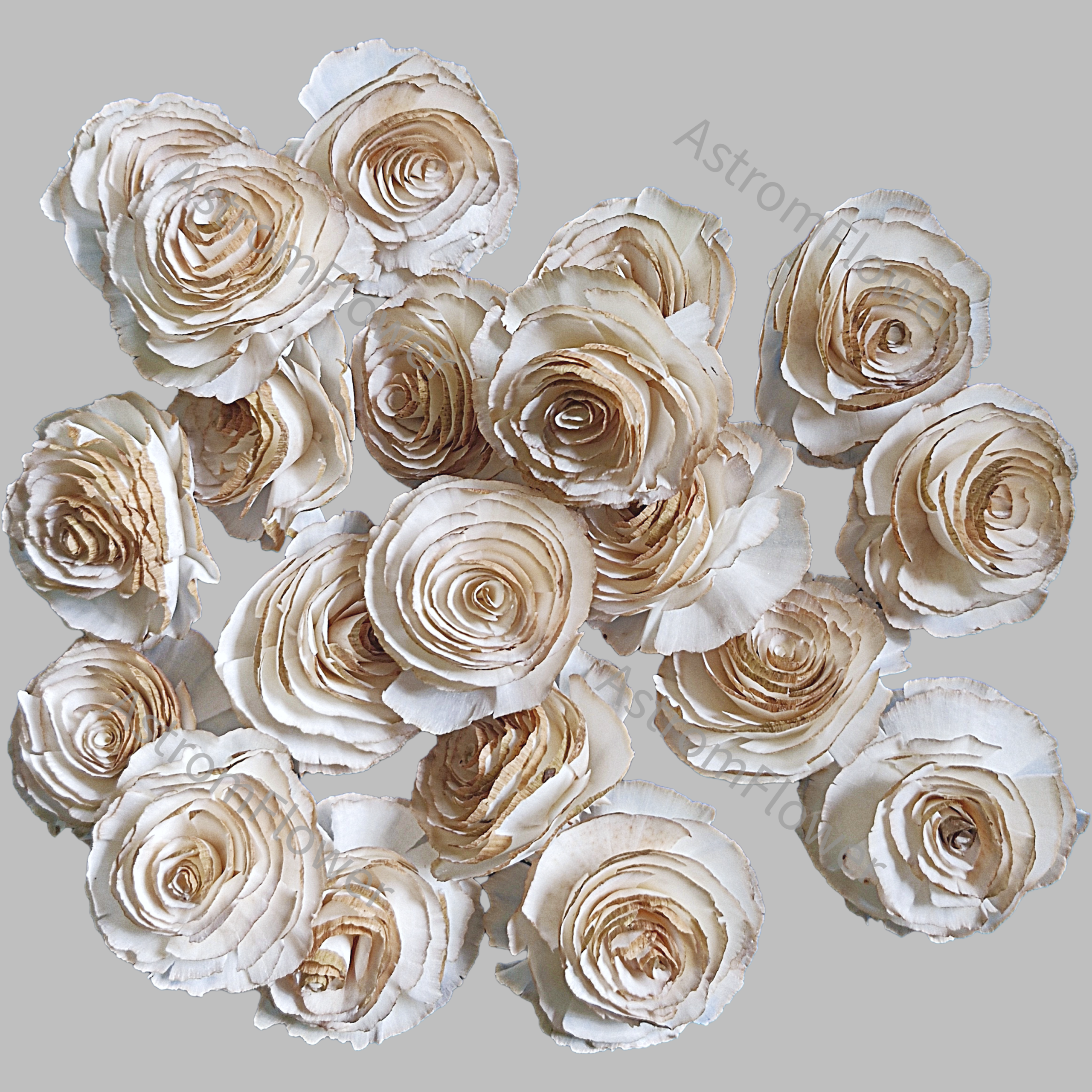 Skin Cabbage Sola Wood Flower - Image 4