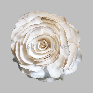 Skin Cabbage sola wood flower handmade natural wood flower for wedding bouquet decoration and DIY craft floral arrangement