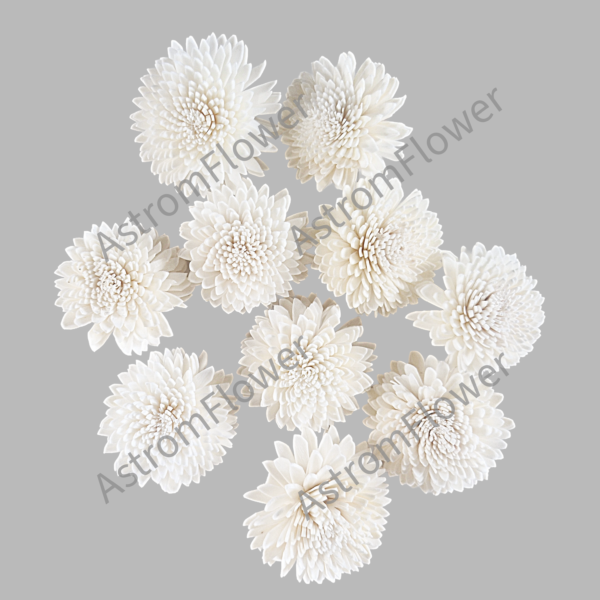 Handcrafted sola wood Ziniya flower for home decor